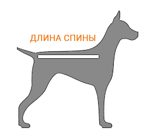 Измерить длину спины собаки