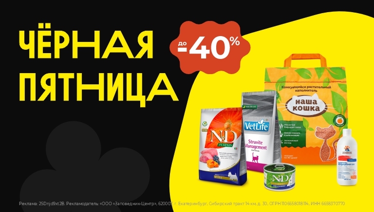 Черная пятница 2025