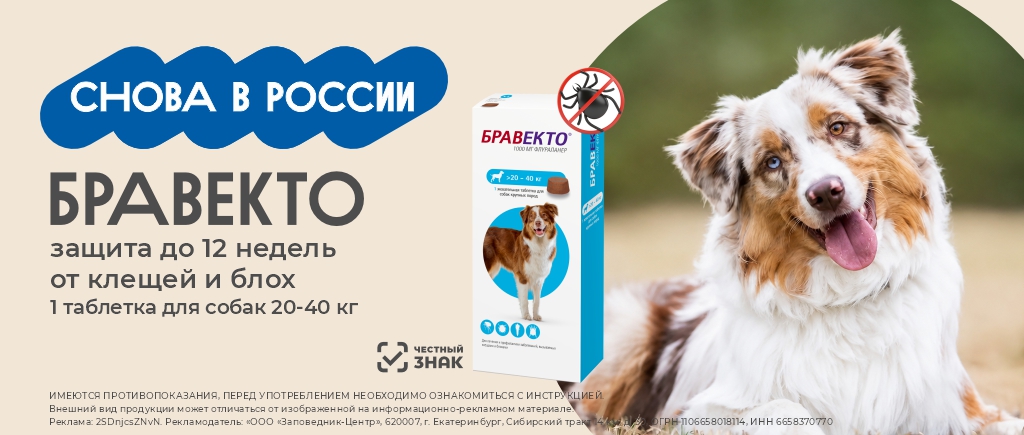 Бравекто снова в России