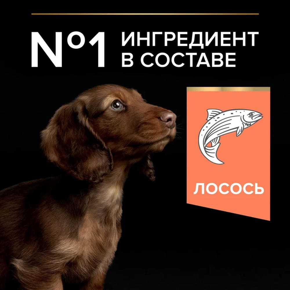 Превью Сухой корм для щенков мелких и карликовых пород с чувствительной кожей Pro Plan Sensitive Skin с лососем 3 кг 3