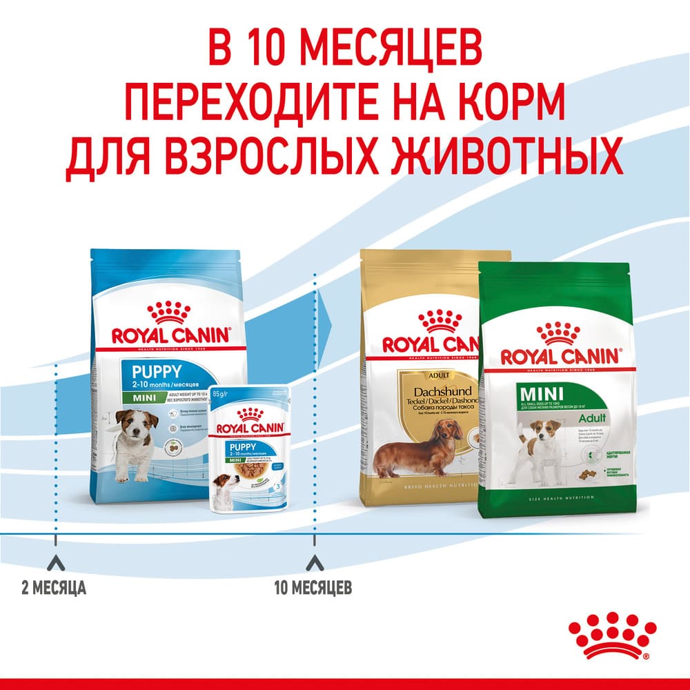 Превью Сухой корм для щенков мелких пород Royal Canin Mini Puppy 2 кг 5