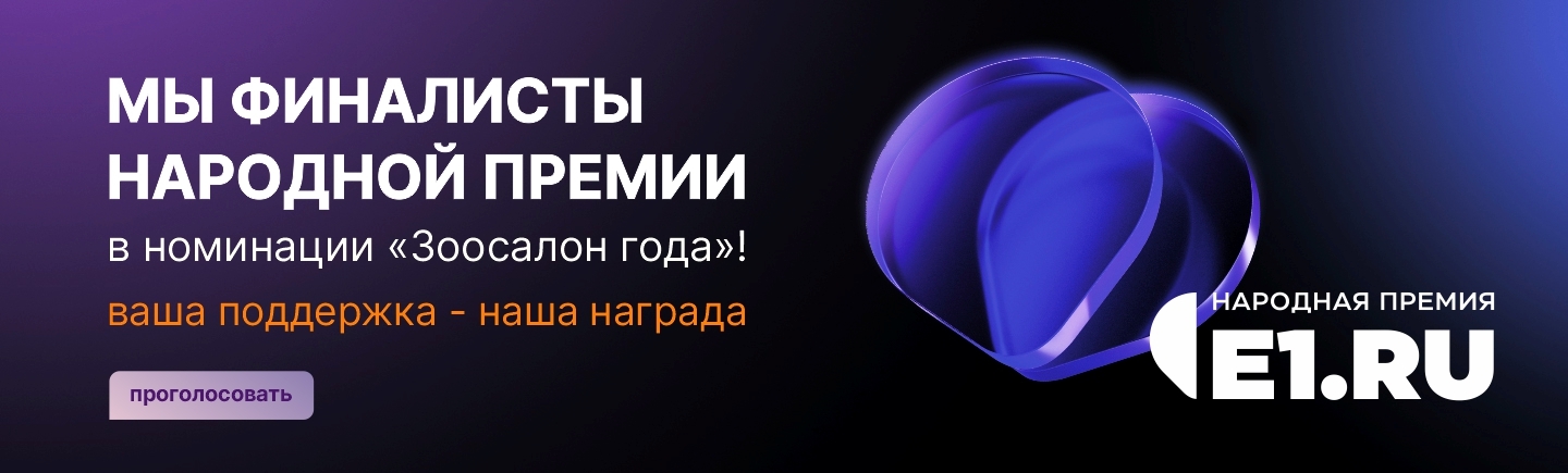 Народная премия Е1.RU
