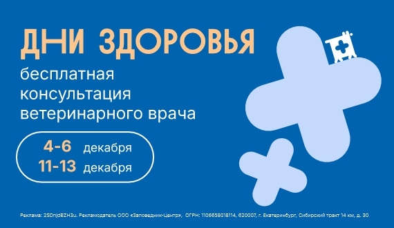 Дни здоровья в Заповеднике