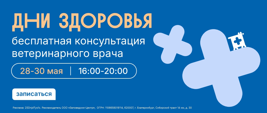 Дни здоровья в Заповеднике