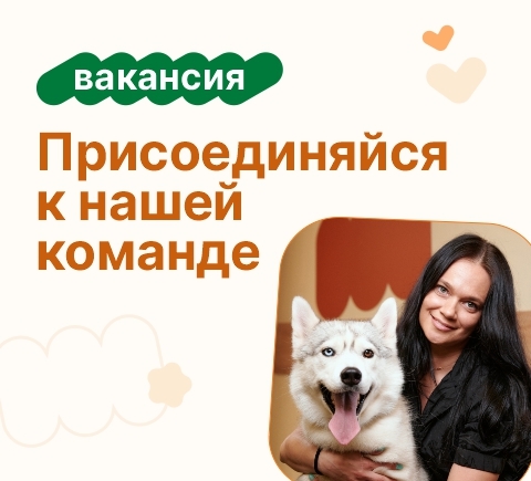 Вакансии