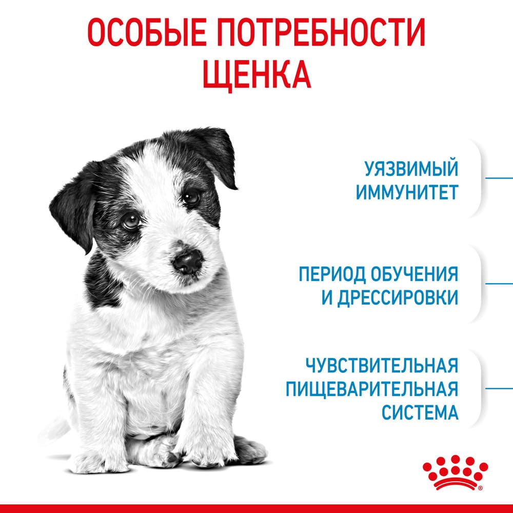 Превью Сухой корм для щенков мелких пород Royal Canin Mini Puppy 2 кг 2