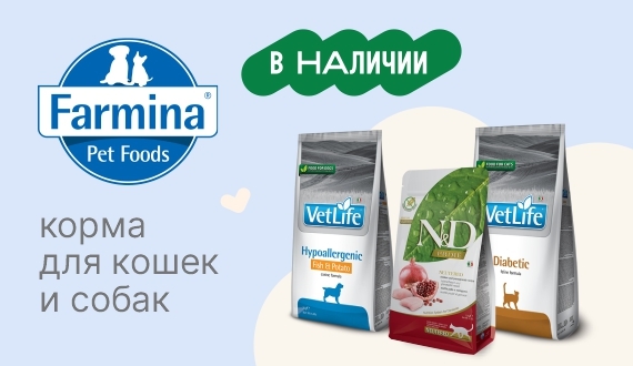 Farmina в наличии