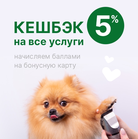 Баннер 1