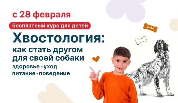 Хвостология: стань другом для своей собаки