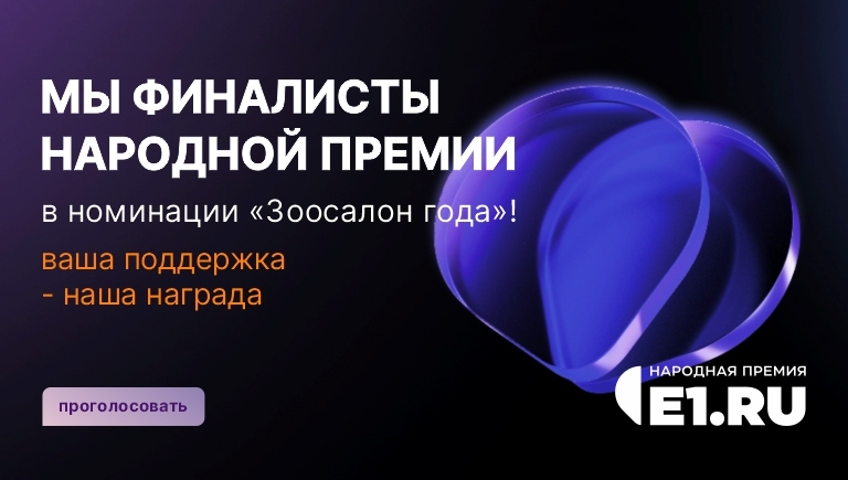 Народная премия Е1.RU