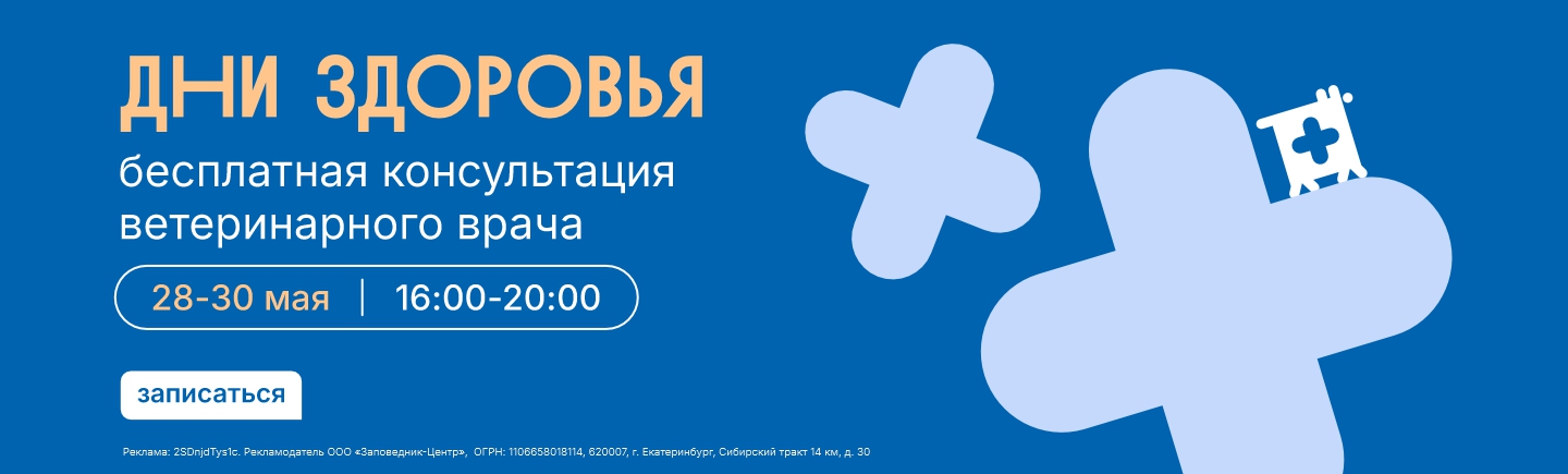 Дни здоровья в Заповеднике
