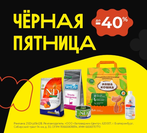 Черная пятница 2025
