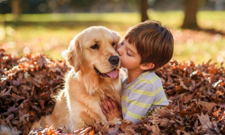 Собаки для детей: какие породы стоит выбрать для ребенка