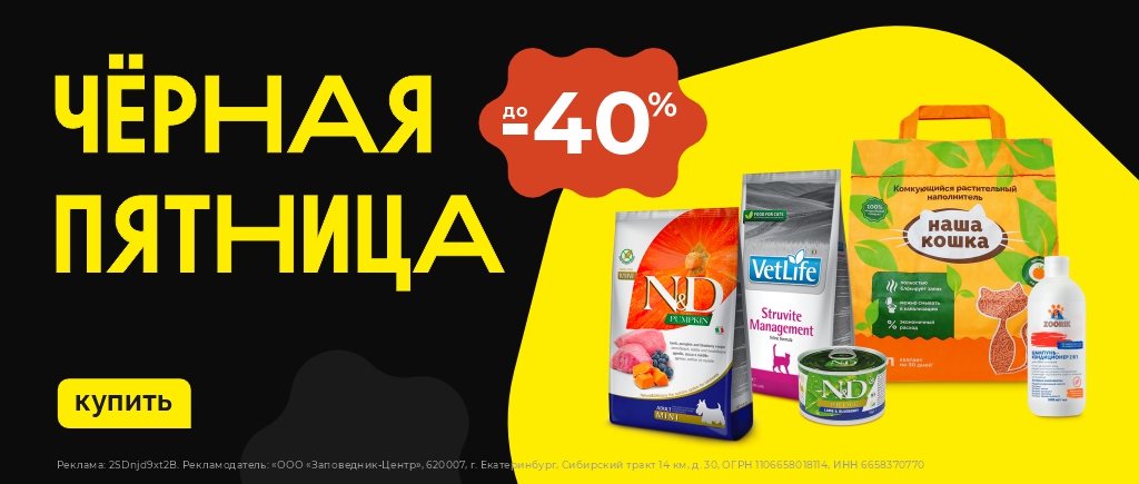 Черная пятница 2025