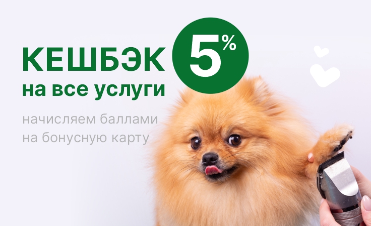 Баннер 1