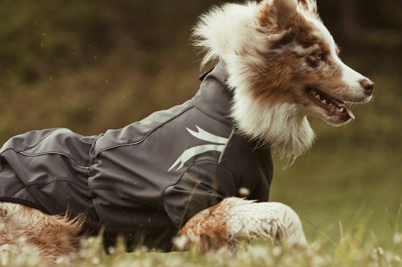 Превью Жакет теплый Hurtta Frost Jacket длина спины 25 см 1
