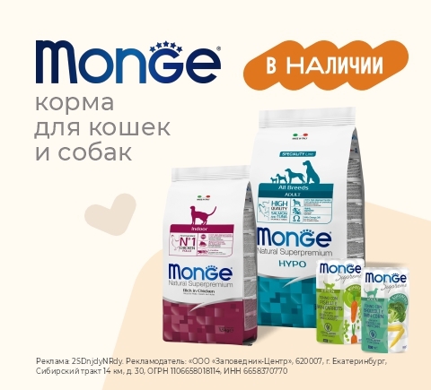 Возвращение Monge