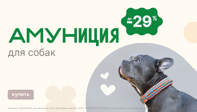 Амуниция | Скидки до 29%