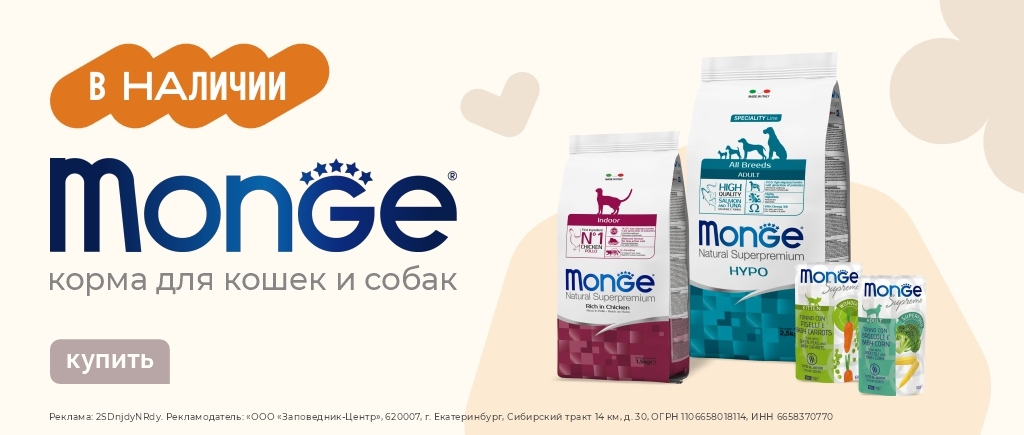 Возвращение Monge