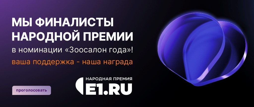 Народная премия Е1.RU