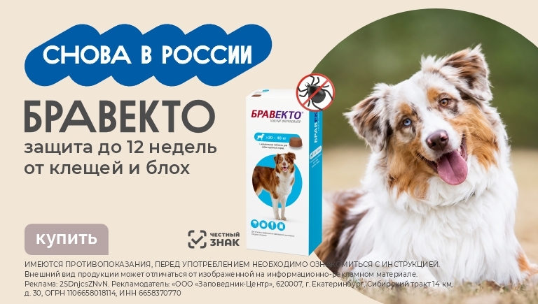 Бравекто снова в России