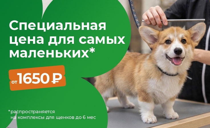 Баннер 3