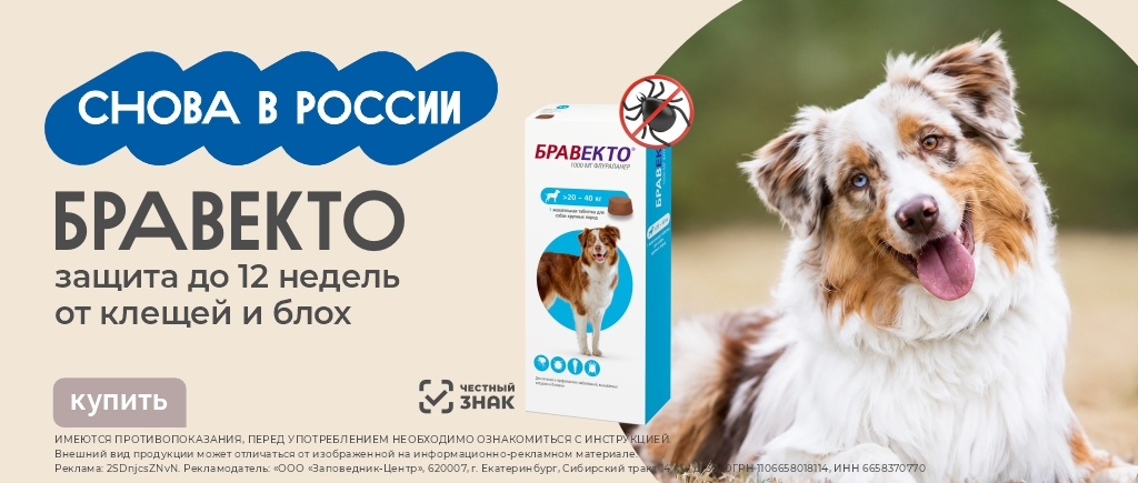 Бравекто снова в России