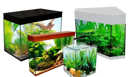 Выбор аквариумного оборудования