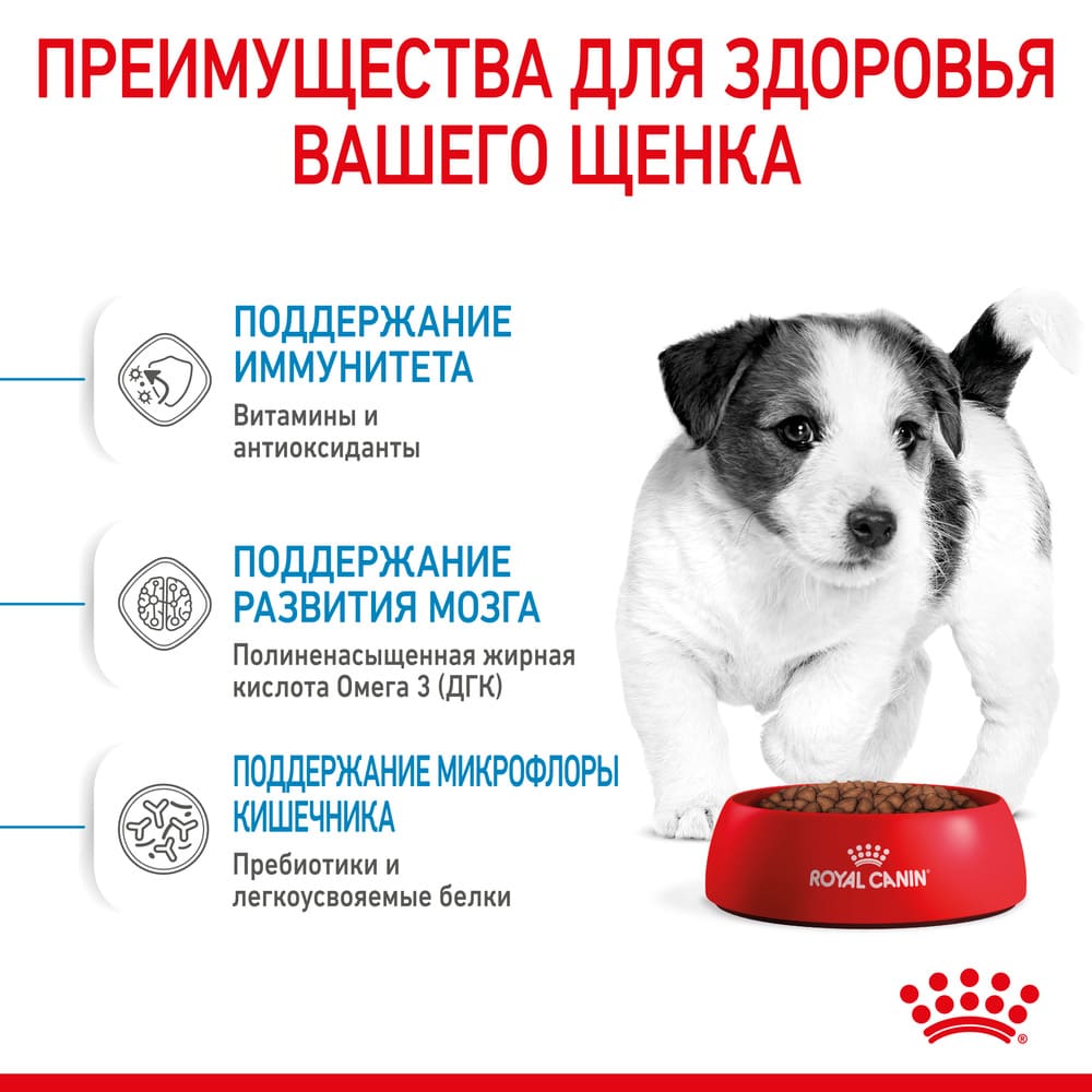 Превью Сухой корм для щенков мелких пород Royal Canin Mini Puppy 2 кг 3