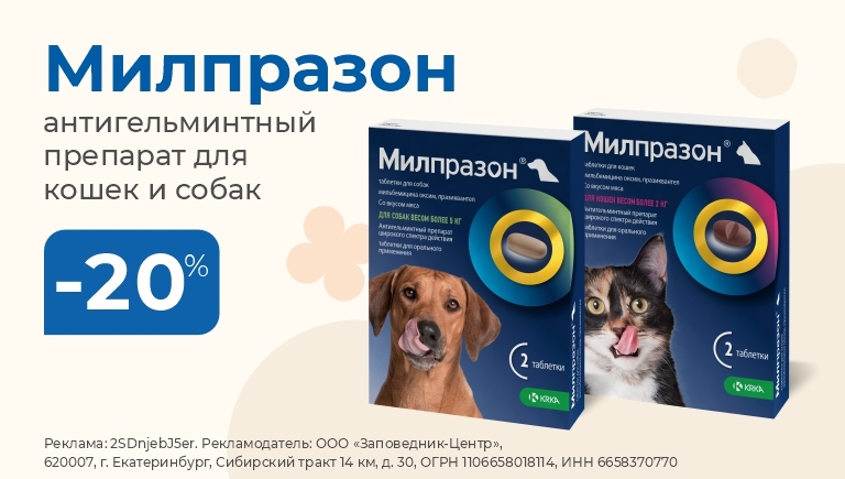 Антигельминтик Милпразон для кошек и собак | Скидка 20%