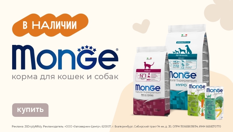 Возвращение Monge