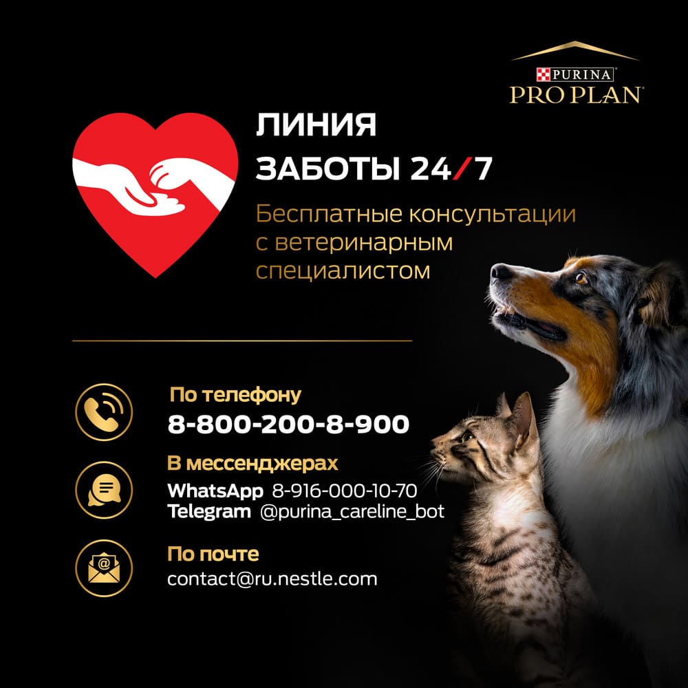 Превью Сухой корм для для взрослых собак средних пород с чувствительной кожей Pro Plan Sensitive Skin с лососем 3 кг 6