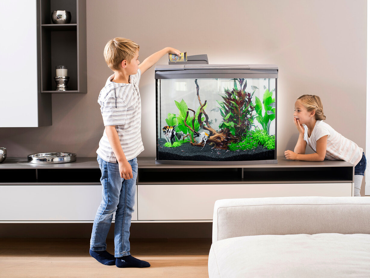 Советы для начинающих аквариумистов