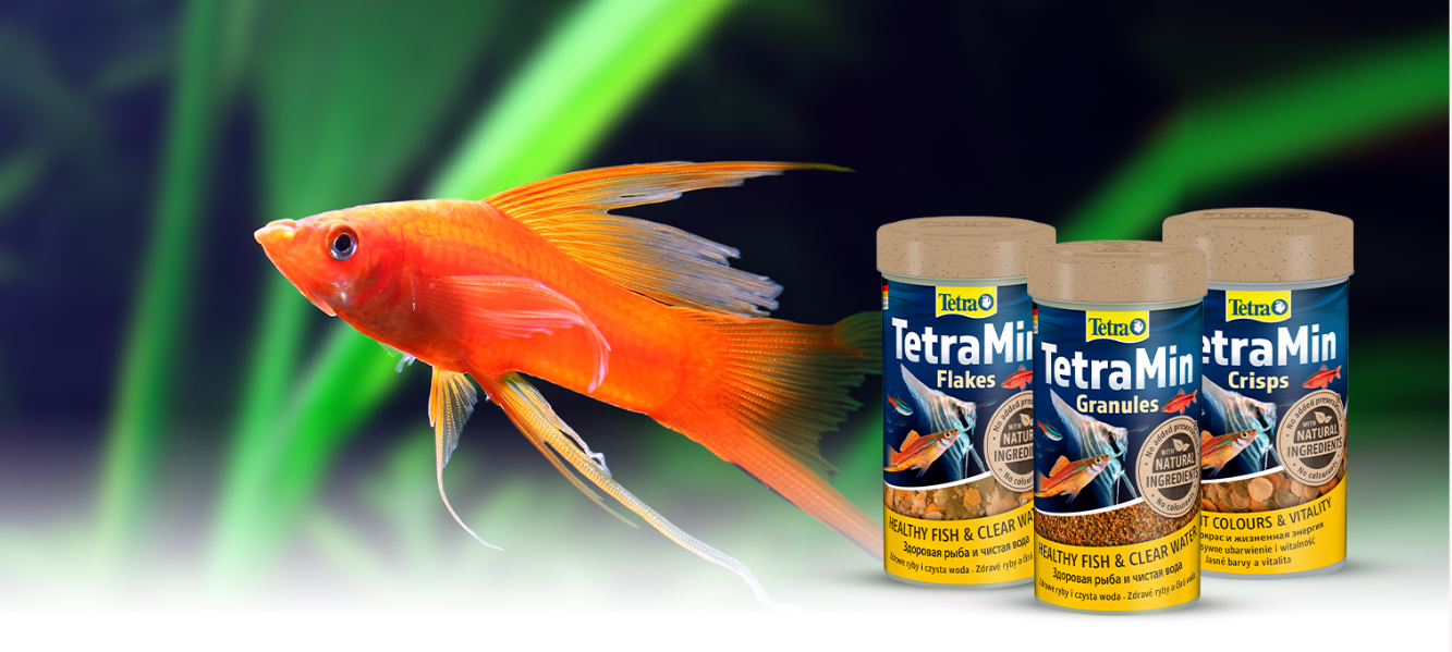 Зона кормления