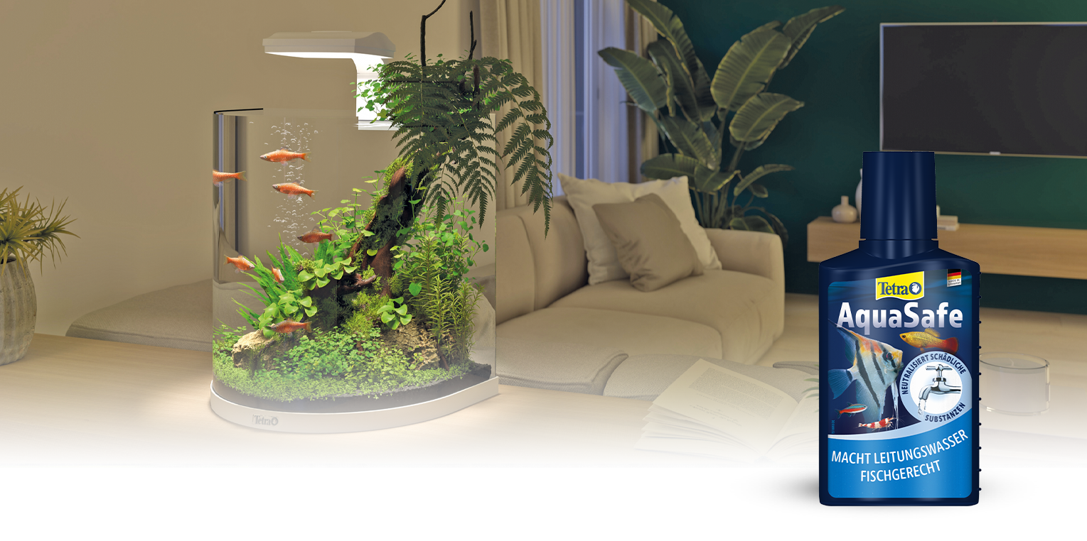 Как часто нужно менять воду в аквариуме? 