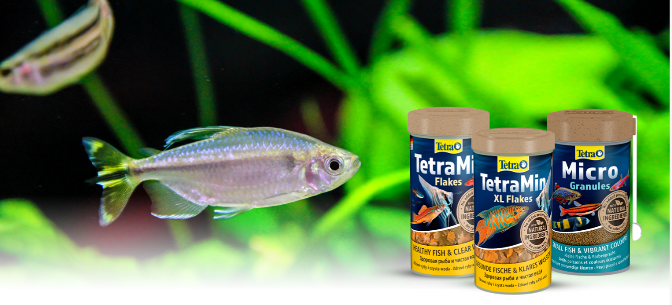 Размеры корма