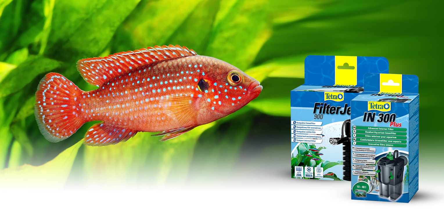 Классические внутренние фильтры для аквариума