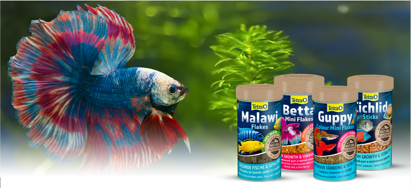 Видовые корма