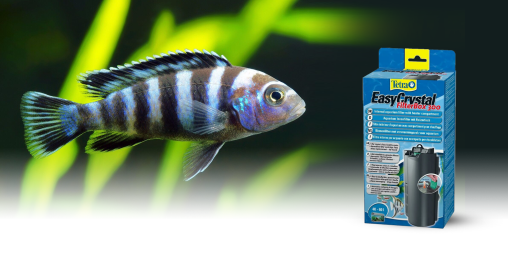 Фильтры для аквариума со сменным картриджем