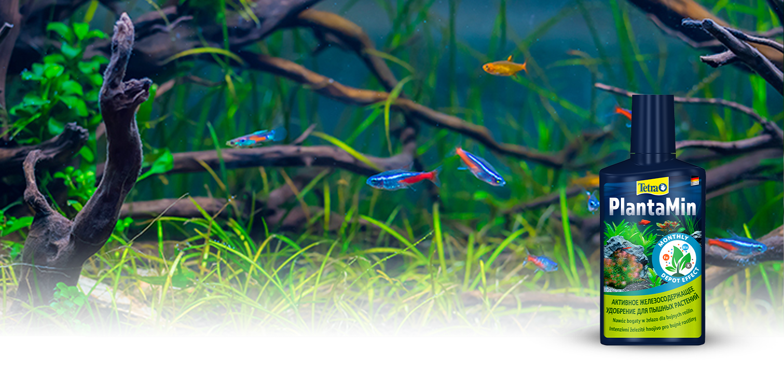 Что еще требует внимания?