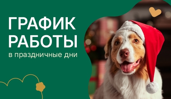 График работы в выходные и праздничные дни