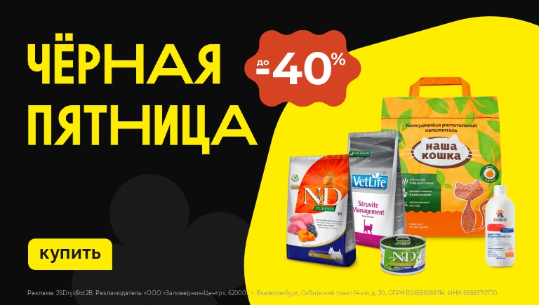 Черная пятница 2025