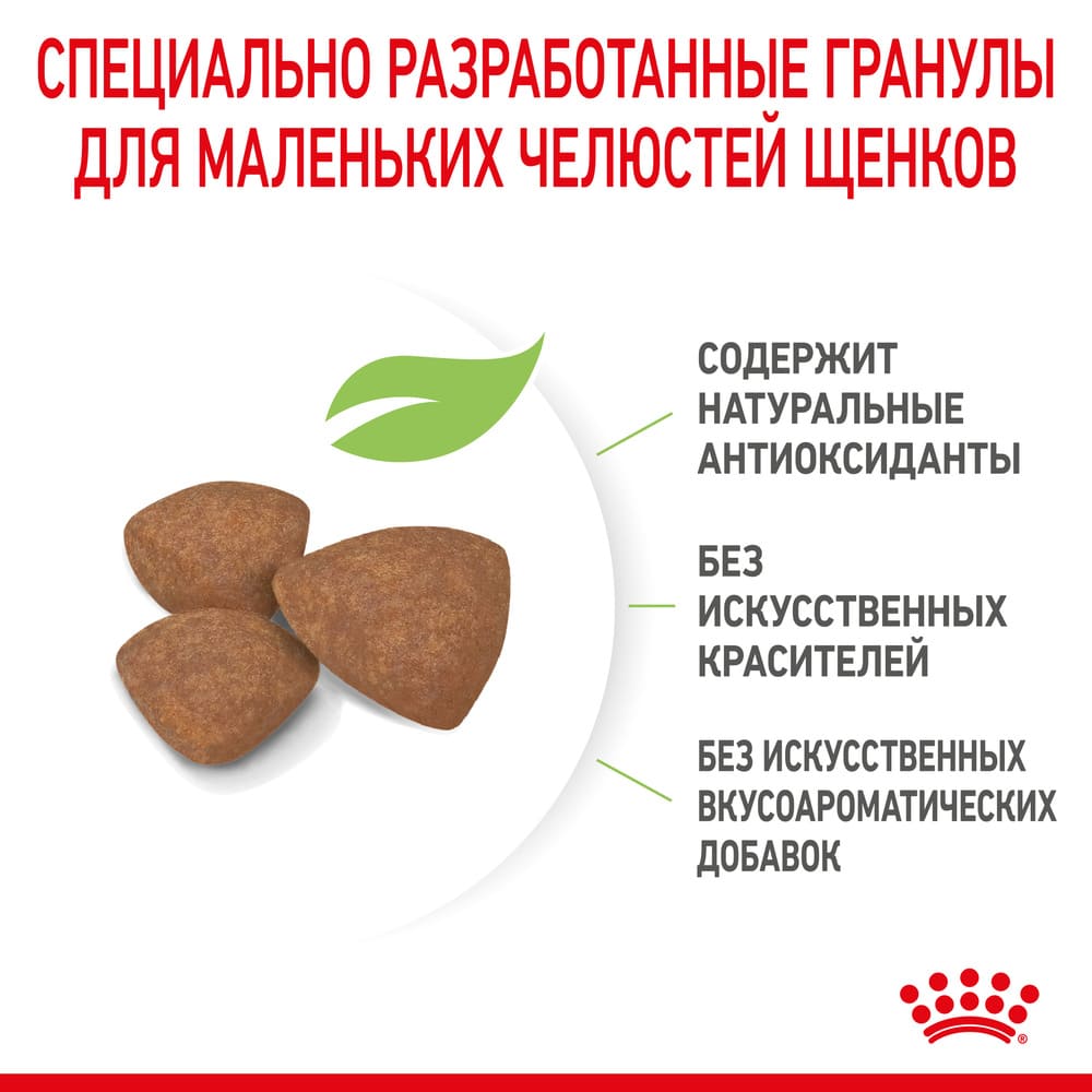 Превью Сухой корм для щенков мелких пород Royal Canin Mini Puppy 2 кг 4