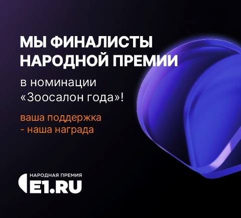 Народная премия Е1.RU