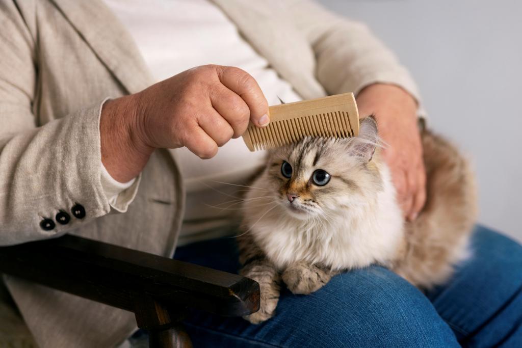 owner-brushing-cute-cat-side-view.jpg